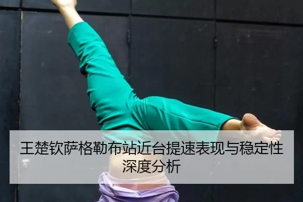 wang-chu-qin-sa-ge-lei-bu-zhan-jin-tai-ti-su-biao-xian-yu-wen-ding-xing-shen-du-fen-xi-2-546.jpg
